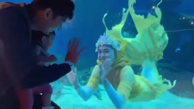 Ria Ricis menarik perhatian warganet ketika ia menjadi mermaid dan berenang bersama ikan-ikan di aquarium besar.