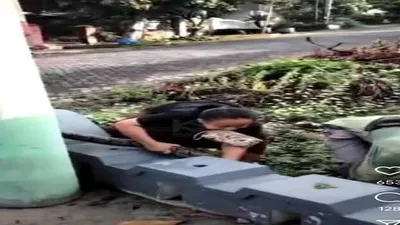 Aksi Seorang Emak Nekat Menangkap Ular yang Cukup Besar di Semarang