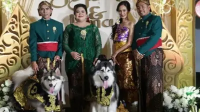 Viral Pernikahan Mewah Anjing di PIK, Biayanya Bikin Kaum Gaji UMR Ngelus Dada (Instagram @undercover.id)