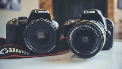 Ilustrasi tips memilih lensa kamera DSLR agar hasil foto memiliki efek bokeh