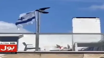Beredar viral video seekor burung gagak yang nangkring di tiang bendera dan berupaya melepaskan bendera Israel yang tergantung