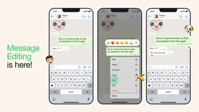 Fitur WhatsApp salah ketik pesan