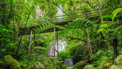 Taman Safari Bogor (TSB) kembali mengeluarkan paket promo diskon tiket masuk selama libur Lebaran 2023.