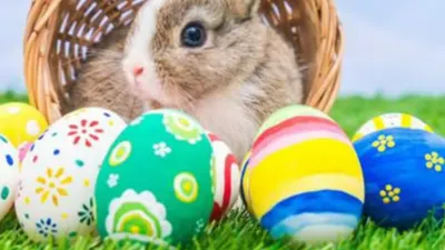 Alasan Kenapa Banyak Telur Hias dan Kelinci Setiap Perayaan Paskah