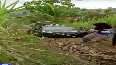 Sebuah mobil google map nyasar di area perkebunan di Malang, Jawa Timur