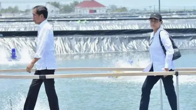 Heboh Mobil Alphard yang Ditumpangi Sri Mulyani Masuk Apron Bandara, Peter Gontha: Jokowi Saja Jalan Kaki!