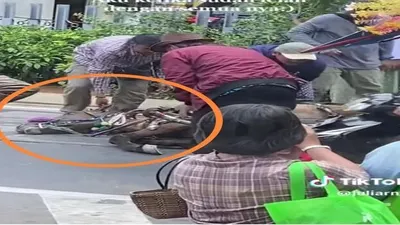Viral Seekor kuda ambruk di jalanan depan stasiun kereta di kota Tua, Jakarta Utara
