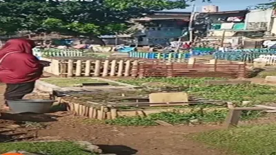 Curhatan Seorang Anak, Kuburan Orangtua Buat Kandang dan Njemur, Netizen Malah Ungkap Hal Heboh Lainnya
