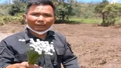 Mang Uprit Petani yang Protes karena Lahan Bunga Edelweisnya Dirusak
