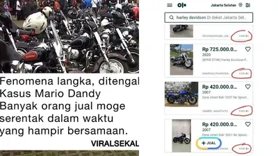 Fenomena banyak moge dijual mendadak setelah kasus Mario Dandy viral
