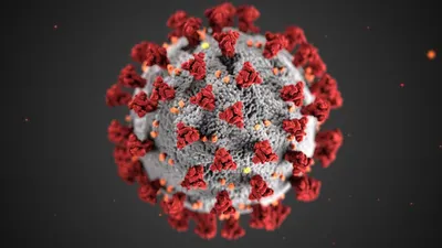 Ilustrasi virus