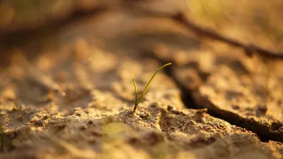 Prediksi BMKG, wilayah Indonesia akan mengalami fenomena El Nino pada periode Juni hingga Agustus 2023.