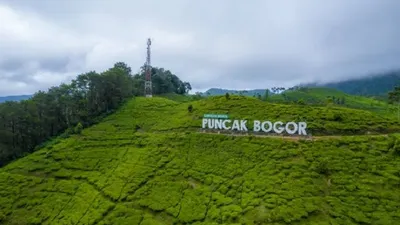 Ilustrasi: Puncak Bogor (Unsplash/Ammar Andiko)
