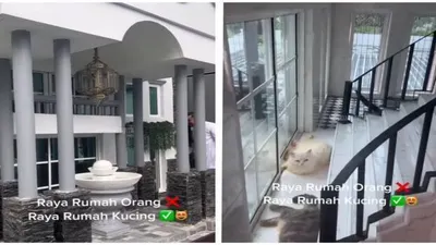 penampakan sebuah rumah mewah untuk kucing