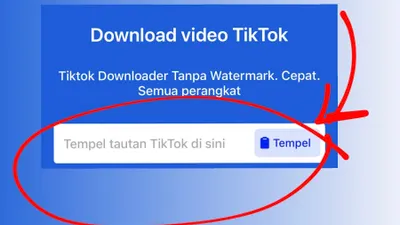 Download Video TikTok Tanpa Watermark