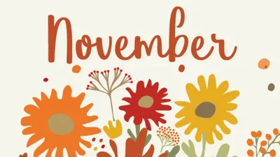 Kepribadian Orang yang Lahir Tanggal 8 November Dikenal Sensitif Tapi Jujur, Cek Info Lengkapnya di Sini!