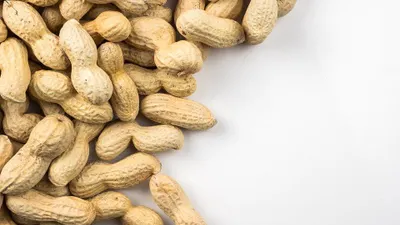 Kacang