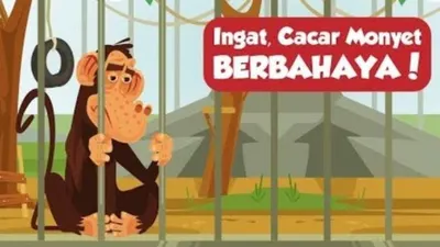 Kenali Penyakitnya dan Waspada Penularannya Penyakit Cacar Monyet