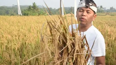 Dedi Mulyadi Kerap Bikin Konten YouTube, Asli atau Settingan? Ini Faktanya