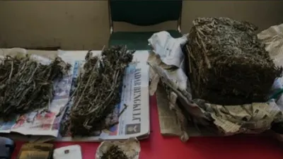 Polisi menyita paket ganja dari Bogor.