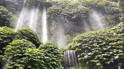 Ilustrasi wisata alam Jogja.