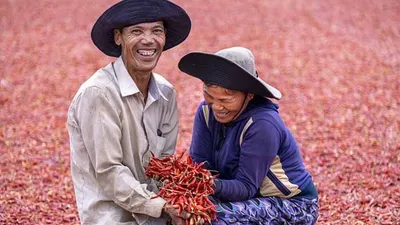 Ilustrasi Pak Tani di Hari Tani Nasional
