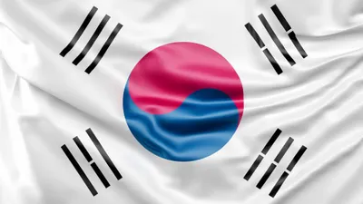 Ilustrasi fakta unik Korea Selatan di kanca Piala Dunia.