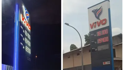 vivo