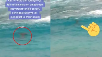 Diduga penampakan putri duyung muncul di perairan pantai Latuhalat Ambon