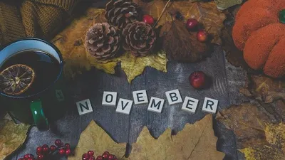 5 Rekomendasi Lagu Bulan November, dari yang Legendaris hingga Kpop Lengkap dengan Link!