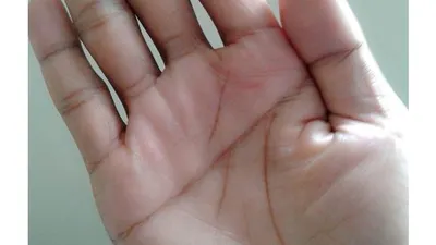 Tanda garis tangan yang diprediksi kaya raya