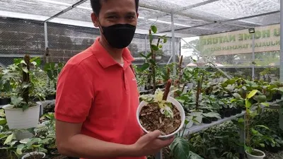 Chief Executive Officer (CEO) Minaqu Home Nature Kota Bogor Ade Wardhana