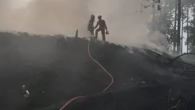 Imbas Kebakaran Tak Kunjung Padam, Pemukiman Warga di Bogor Menghitam