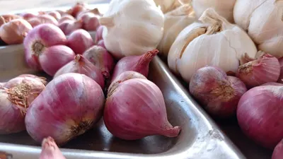 Ilustrasi bawang merah dan bawang putih. Sejumlah kebutuhan pokok di Bekasi termasuk bawang merah dan putih naik harganya jelang Ramadan.