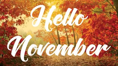 Sisi Baik dan Buruk Orang yang Lahir Bulan November, Cek Karakter Lengkapnya di Sini!