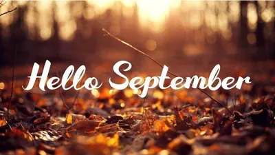 13 Quotes Bijak di Bulan September yang Penuh Motivasi dan Harapan