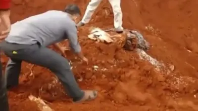 Viral! JNE Pendam Beras Bansos Presiden, Begini Faktanya