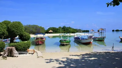 5 Tempat Wisata Alam di Jakarta yang Segar Alami dan Bikin Betah Berlama-lama