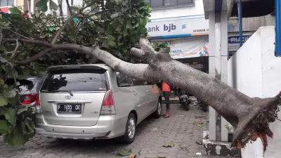  4 Mobil Tertimpa Pohon dan 7 Rumah Rusak Akibat Hujan Deras dan Angin Kencang di Bogor