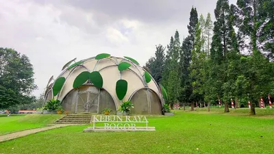 Ilustrasi: Kebun Raya Bogor