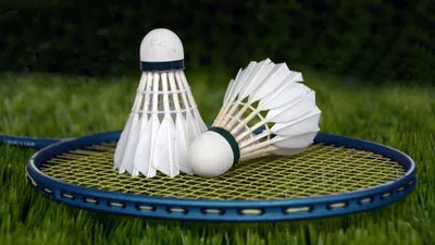 Ilustrasi Badminton