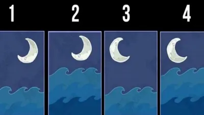 Tes Kepribadian (Dok: Namastest)
