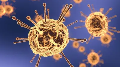 Mengenal Varian Baru Virus Corona B117, Benarkah Lebih Menular dan Berbahaya?