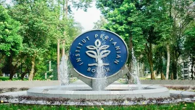 Kasus mahasiswa IPB yang terjerat pinjaman online (pinjol) banyak menyita perhatian publik, ada dugaan penipuan.