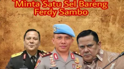 napoleon dan ferdy