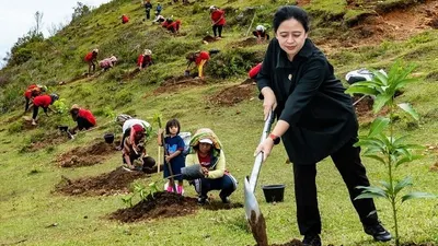Baru-baru ini beredar foto Ketua DPR RI Puan Maharani yang sedang menanam pohon.  Warganet sontak mengomentari foto Puan Maharani dengan menyebutnya menggunakan efek green screen.