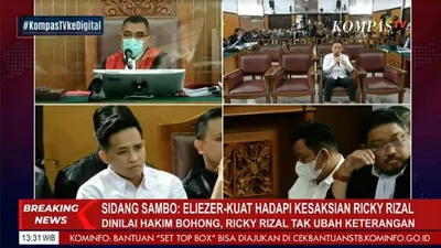Sejumlah Kejanggalan dari Kesaksian Ricky Rizal, Hakim: Bagaimana Bisa Ajudannya Tak Satu Mobil dengan Putri?