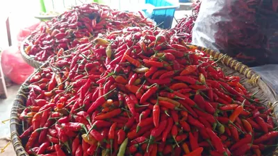 Dampak BBM Naik, Harga Cabai di Pasar Rawamangun Mulai Melambung