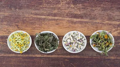 Ilustrasi ramuan herbal untuk membuat jamu. (foto: pixabay)