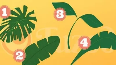 Tes Kepribadian: Seberapa Sering Kamu Menyembunyikan Perasaan